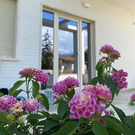 Bed & Breakfast D Erna Marina di Pietrasanta