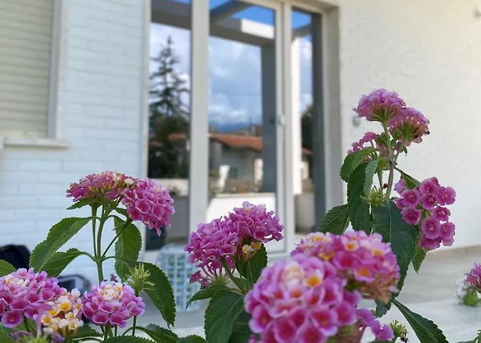 Bed & Breakfast D Erna Marina di Pietrasanta